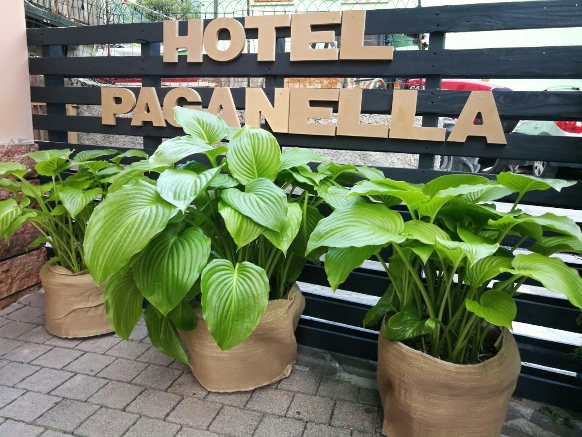 Paganella Hotel Molveno