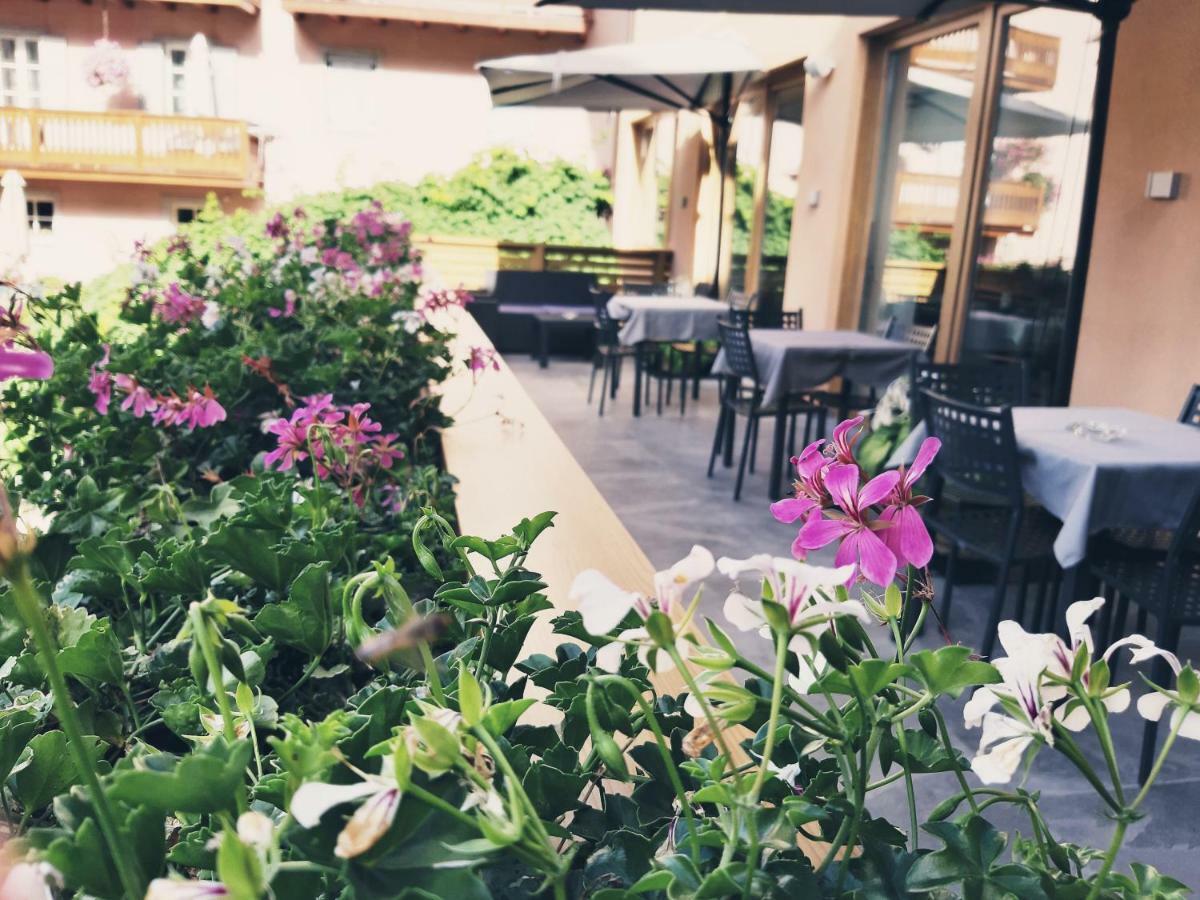 Hotel Paganella 2*
